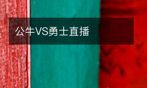 公牛VS勇士直播