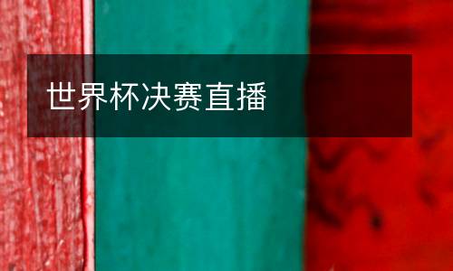 世界杯決賽直播