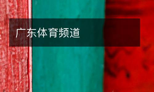 廣東體育頻道