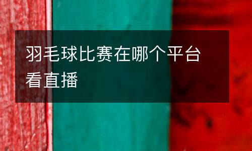 羽毛球比賽在哪個平臺看直播