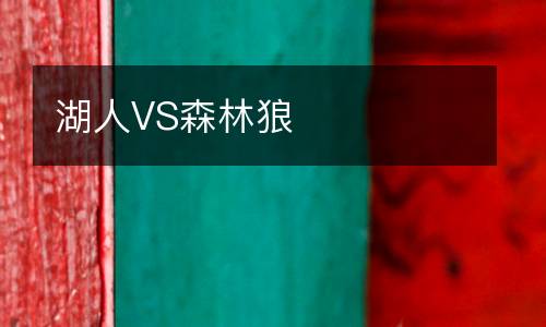 湖人VS森林狼