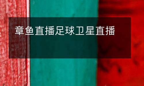 章魚直播足球衛(wèi)星直播