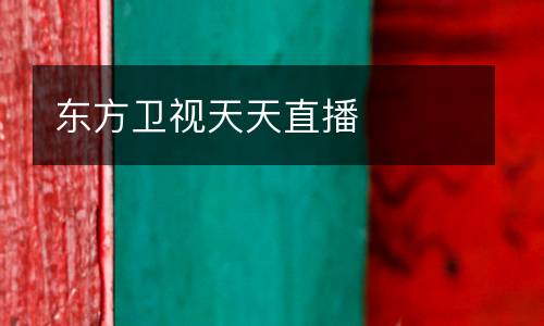 東方衛(wèi)視天天直播