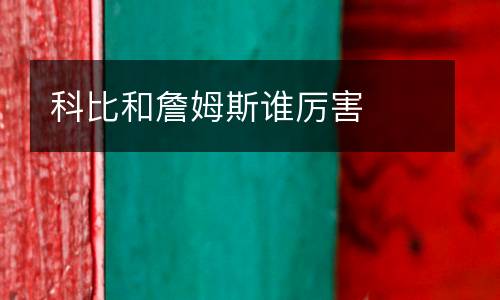 科比和詹姆斯誰厲害