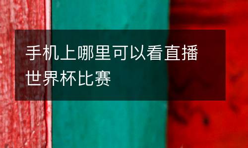 手機上哪里可以看直播世界杯比賽