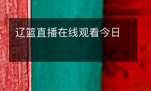 遼籃直播在線觀看今日