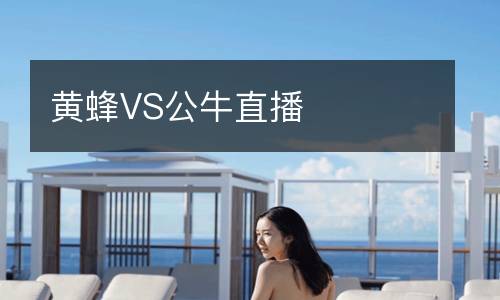 黃蜂VS公牛直播