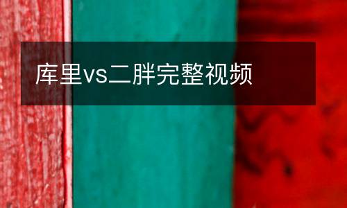 庫(kù)里vs二胖完整視頻