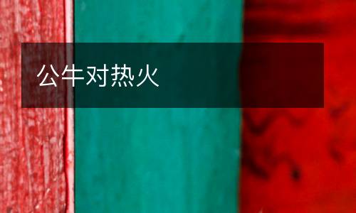 公牛對(duì)熱火