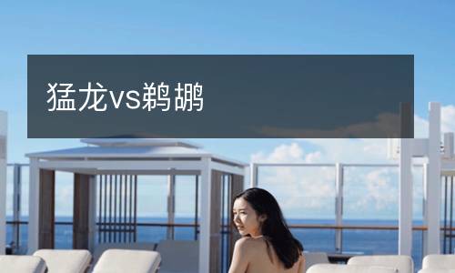 猛龍vs鵜鶘